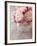 Pink Roses on Wooden Desk-egal-Framed Photographic Print