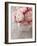 Pink Roses on Wooden Desk-egal-Framed Photographic Print