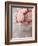 Pink Roses on Wooden Desk-egal-Framed Photographic Print