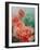 Pink Roses, Prima Ballerina-Karen Armitage-Framed Giclee Print