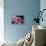Pink Roses-Anna Miller-Framed Premier Image Canvas displayed on a wall