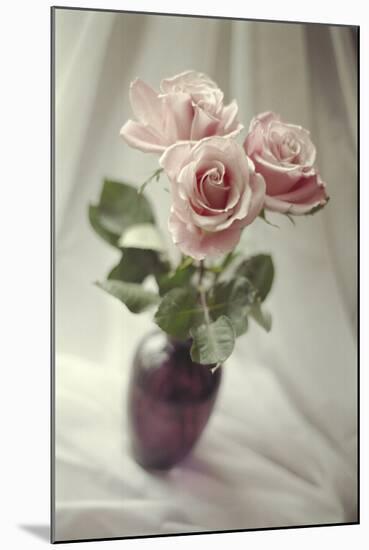 Pink Roses-Anna Miller-Mounted Photographic Print