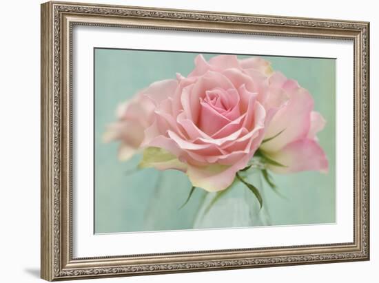 Pink Roses-Cora Niele-Framed Photographic Print