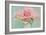 Pink Roses-Cora Niele-Framed Photographic Print