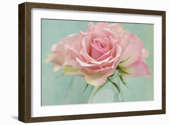Pink Roses-Cora Niele-Framed Photographic Print