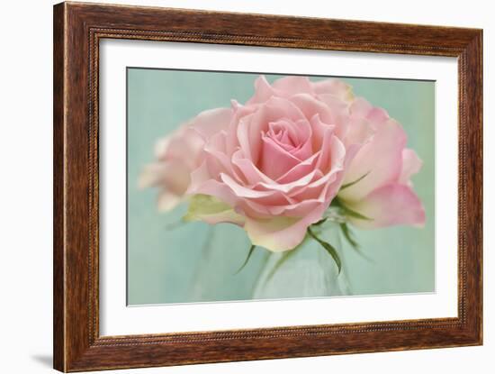 Pink Roses-Cora Niele-Framed Photographic Print