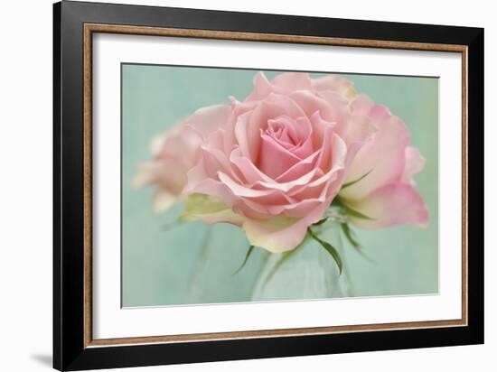 Pink Roses-Cora Niele-Framed Photographic Print