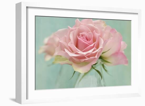 Pink Roses-Cora Niele-Framed Photographic Print