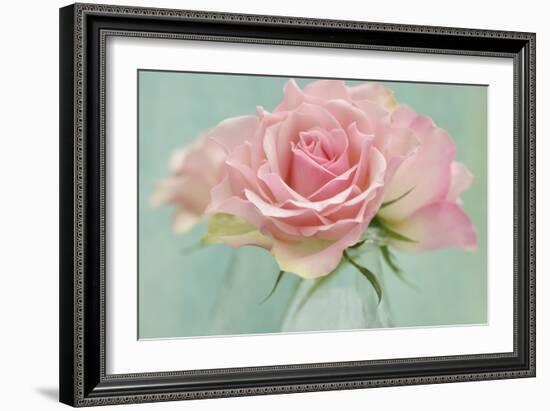 Pink Roses-Cora Niele-Framed Photographic Print