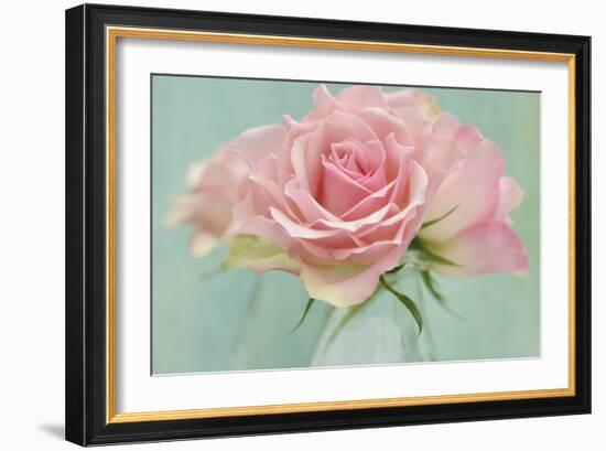 Pink Roses-Cora Niele-Framed Photographic Print