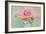 Pink Roses-Cora Niele-Framed Photographic Print