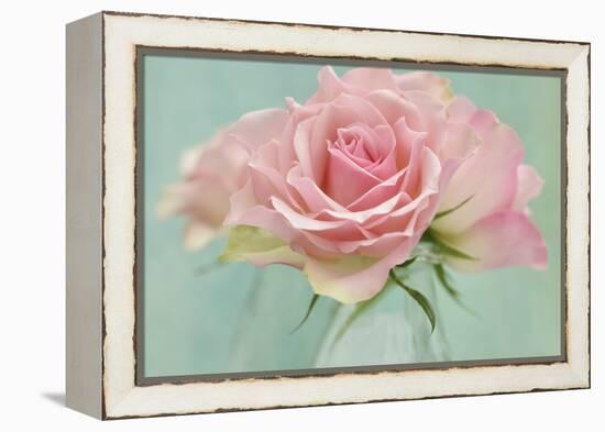 Pink Roses-Cora Niele-Framed Premier Image Canvas