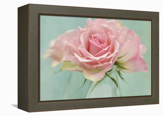 Pink Roses-Cora Niele-Framed Premier Image Canvas