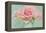 Pink Roses-Cora Niele-Framed Premier Image Canvas