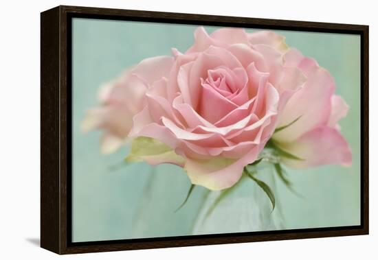 Pink Roses-Cora Niele-Framed Premier Image Canvas