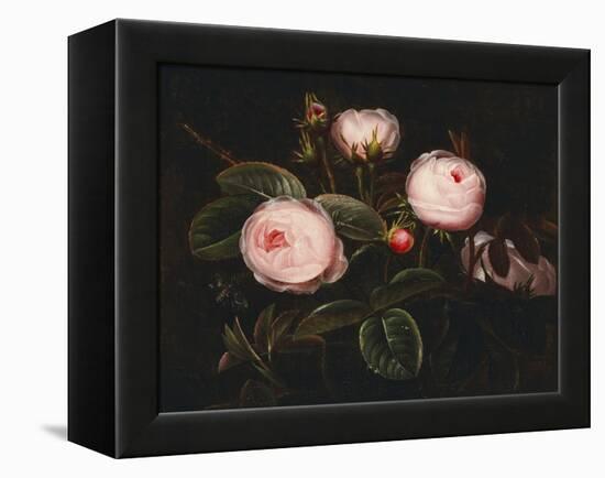 Pink Roses-Johan Laurentz Jensen-Framed Premier Image Canvas