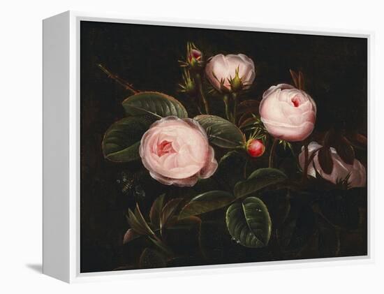 Pink Roses-Johan Laurentz Jensen-Framed Premier Image Canvas