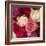 Pink Roses-Dan Meneely-Framed Art Print
