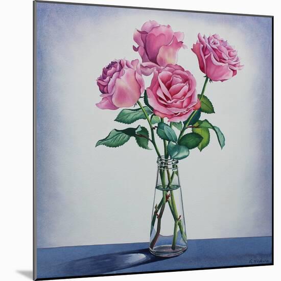 Pink Roses-Christopher Ryland-Mounted Giclee Print