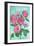 Pink Roses-Elizabeth Rider-Framed Giclee Print