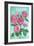 Pink Roses-Elizabeth Rider-Framed Giclee Print