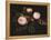 Pink Roses-Johan Laurentz Jensen-Framed Premier Image Canvas