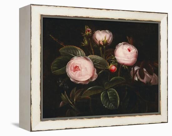 Pink Roses-Johan Laurentz Jensen-Framed Premier Image Canvas