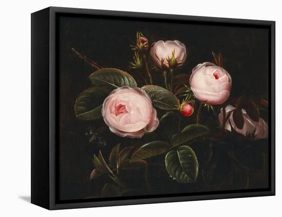 Pink Roses-Johan Laurentz Jensen-Framed Premier Image Canvas