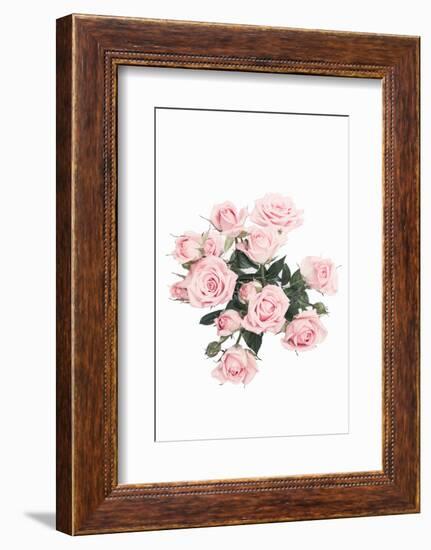 Pink Roses-Sisi and Seb-Framed Photo