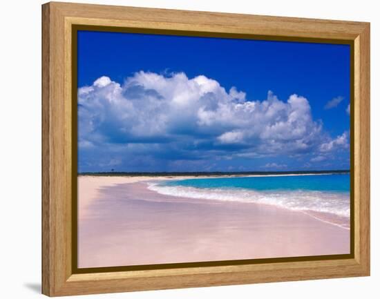 Pink Sand Beach, Harbour Island, Bahamas-Greg Johnston-Framed Premier Image Canvas