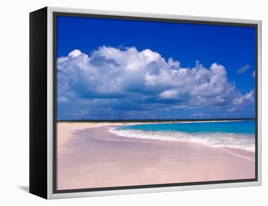 Pink Sand Beach, Harbour Island, Bahamas-Greg Johnston-Framed Premier Image Canvas