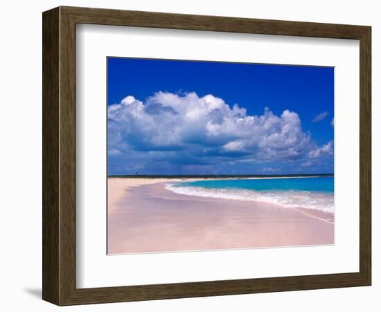 Pink Sand Beach, Harbour Island, Bahamas-Greg Johnston-Framed Photographic Print