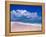 Pink Sand Beach, Harbour Island, Bahamas-Greg Johnston-Framed Premier Image Canvas