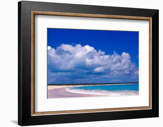 Pink Sand Beach, Harbour Island, Bahamas-Greg Johnston-Framed Photographic Print