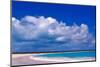 Pink Sand Beach, Harbour Island, Bahamas-Greg Johnston-Mounted Photographic Print