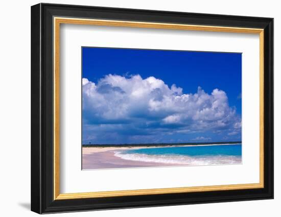 Pink Sand Beach, Harbour Island, Bahamas-Greg Johnston-Framed Photographic Print