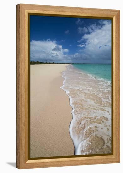 Pink Sand Beach Is Located on the Southwest Coast of the Small Island of Barbuda-Roberto Moiola-Framed Premier Image Canvas