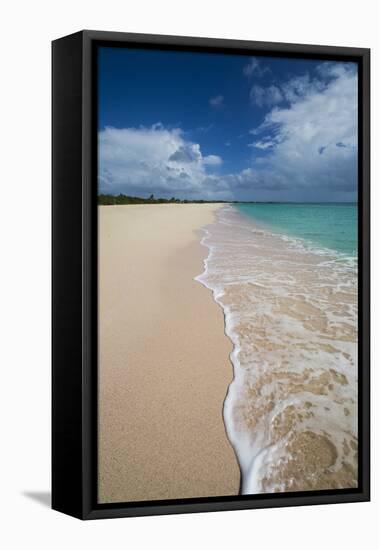 Pink Sand Beach Is Located on the Southwest Coast of the Small Island of Barbuda-Roberto Moiola-Framed Premier Image Canvas