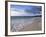 Pink Sands Beach, Harbour Island, Bahamas, Atlantic Ocean, Central America-Ethel Davies-Framed Photographic Print