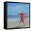 Pink Sari on the Beach-Lincoln Seligman-Framed Premier Image Canvas