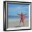 Pink Sari on the Beach-Lincoln Seligman-Framed Giclee Print