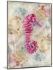 Pink Seahorse-LuAnn Roberto-Mounted Art Print