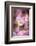 Pink Serenade-Philippe Sainte-Laudy-Framed Photographic Print