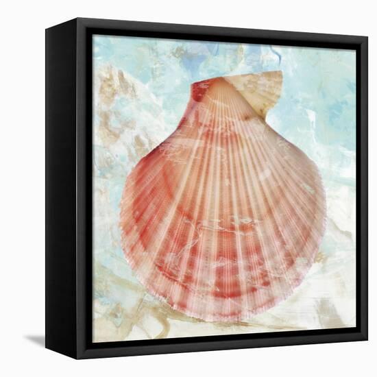 Pink Shell-Aimee Wilson-Framed Stretched Canvas