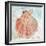 Pink Shell-Aimee Wilson-Framed Art Print