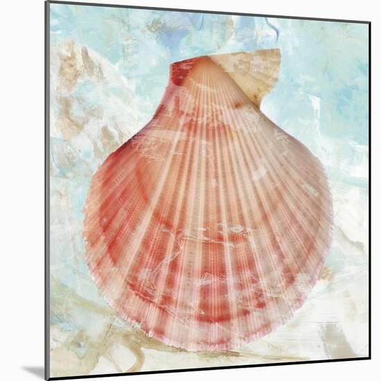 Pink Shell-Aimee Wilson-Mounted Art Print