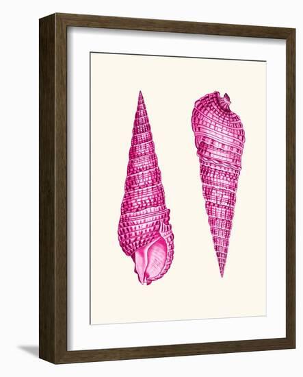 Pink Shells a-Fab Funky-Framed Art Print