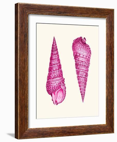 Pink Shells a-Fab Funky-Framed Art Print