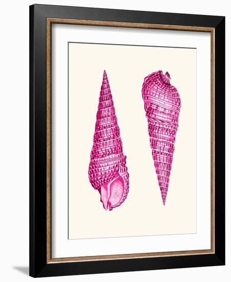 Pink Shells a-Fab Funky-Framed Art Print