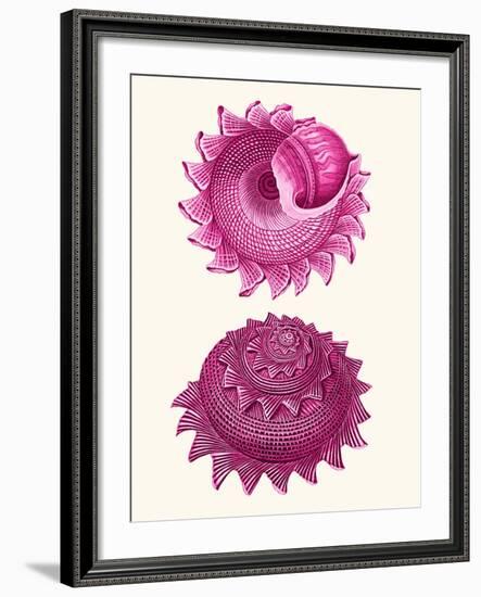 Pink Shells b-Fab Funky-Framed Art Print